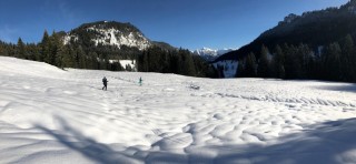 JEDEN SONNTAG ....