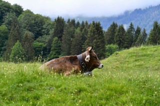 LEBENSTARK SEMINARE ....